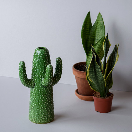 Jarrón Cactus
