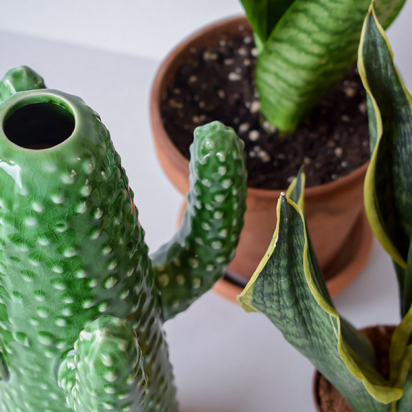 Shop Vase Cactus