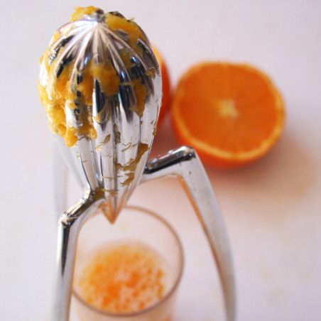 Citrus Squeezer - Juicy Salif