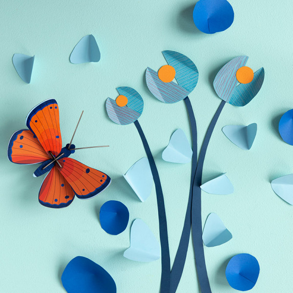 Shop 3D Decorative Butterflies