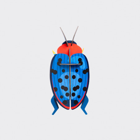 3D Decorative Beetles