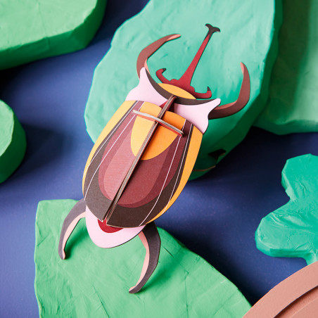 3D Decorative Beetles