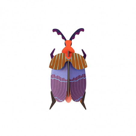 Escarabajos 3D
