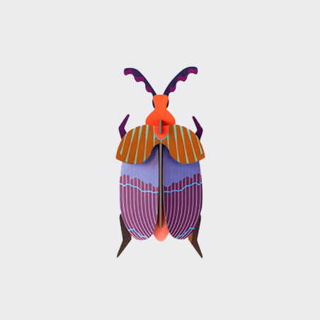 Escarabajos 3D